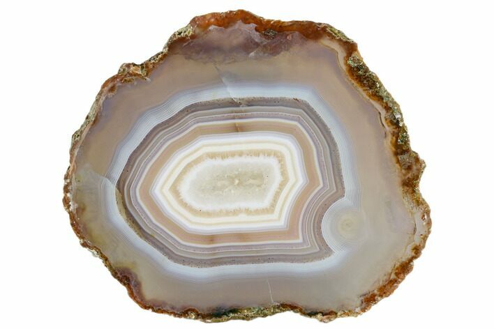 Polished Banded Agate Slab - Agouim, Morocco #184903